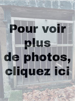 Black Site Belgium