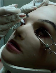 Mistress Henriette Reform School